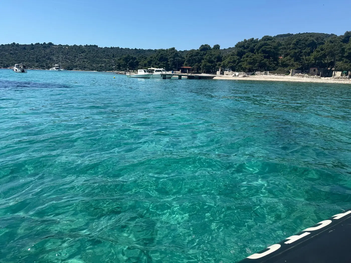 sea bay with woods behind