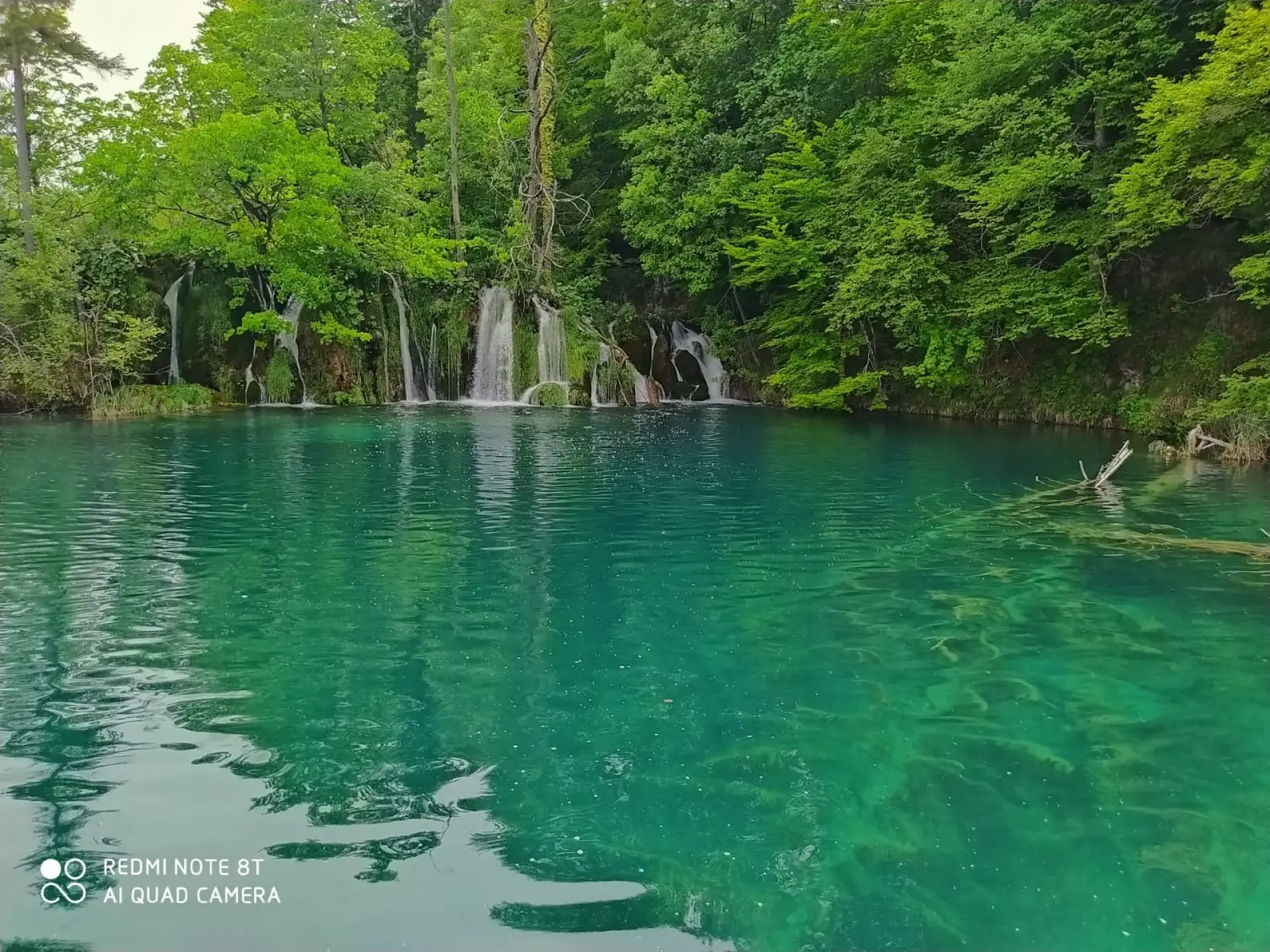 green lake in the woods