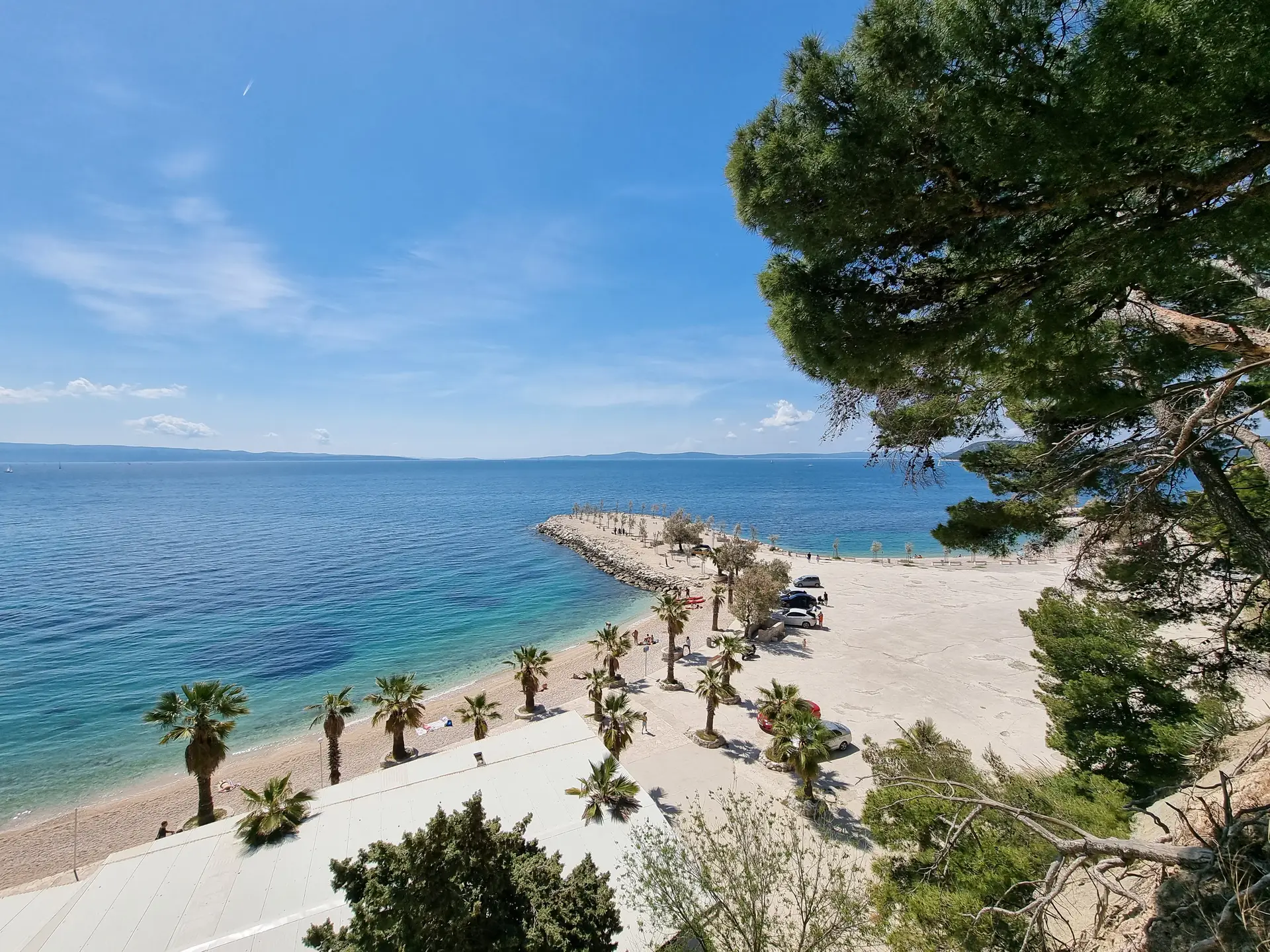 view of a pebble beach with palm trees
